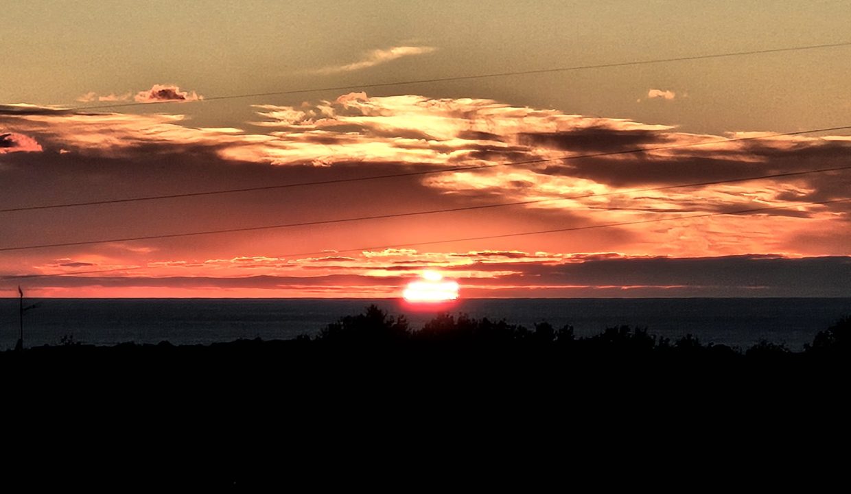 WhatsApp Image 2025-10-20 at 18.44.03_be75da07